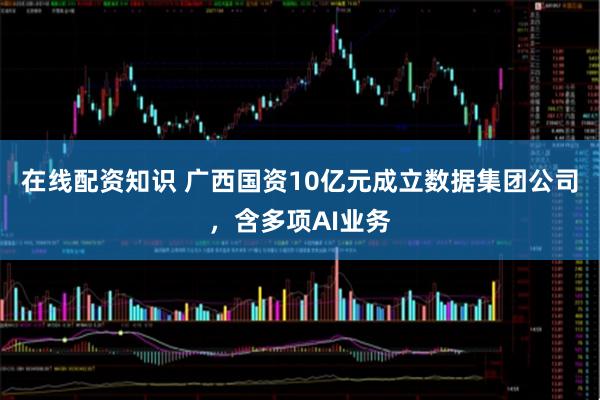 在线配资知识 广西国资10亿元成立数据集团公司，含多项AI业务