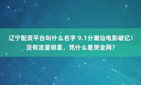 辽宁配资平台叫什么名字 9.1分潮汕电影破亿！没有流量明星，凭什么看哭全网？
